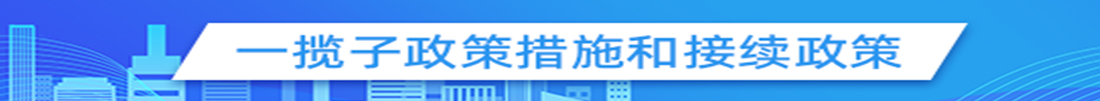 稳经济一揽子政策措施和接续政策